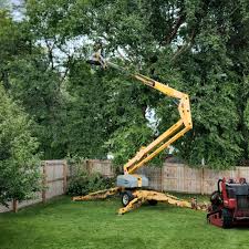 Best Sod Installation  in Braidwood, IL